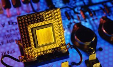 What's-Inside-Competing-Products